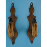 Pair of taxidermy coat hooks