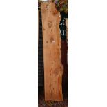 Plank of Lebanese cedar