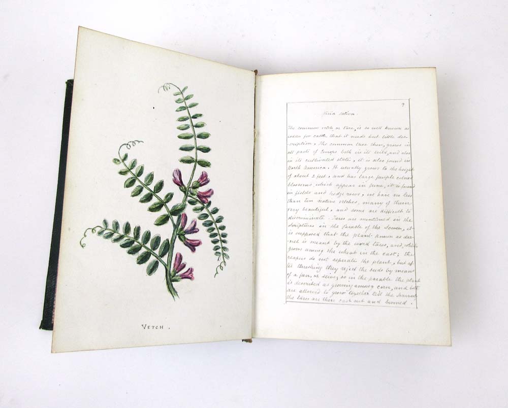 A hand written book 'British Wild Flower - Image 6 of 15
