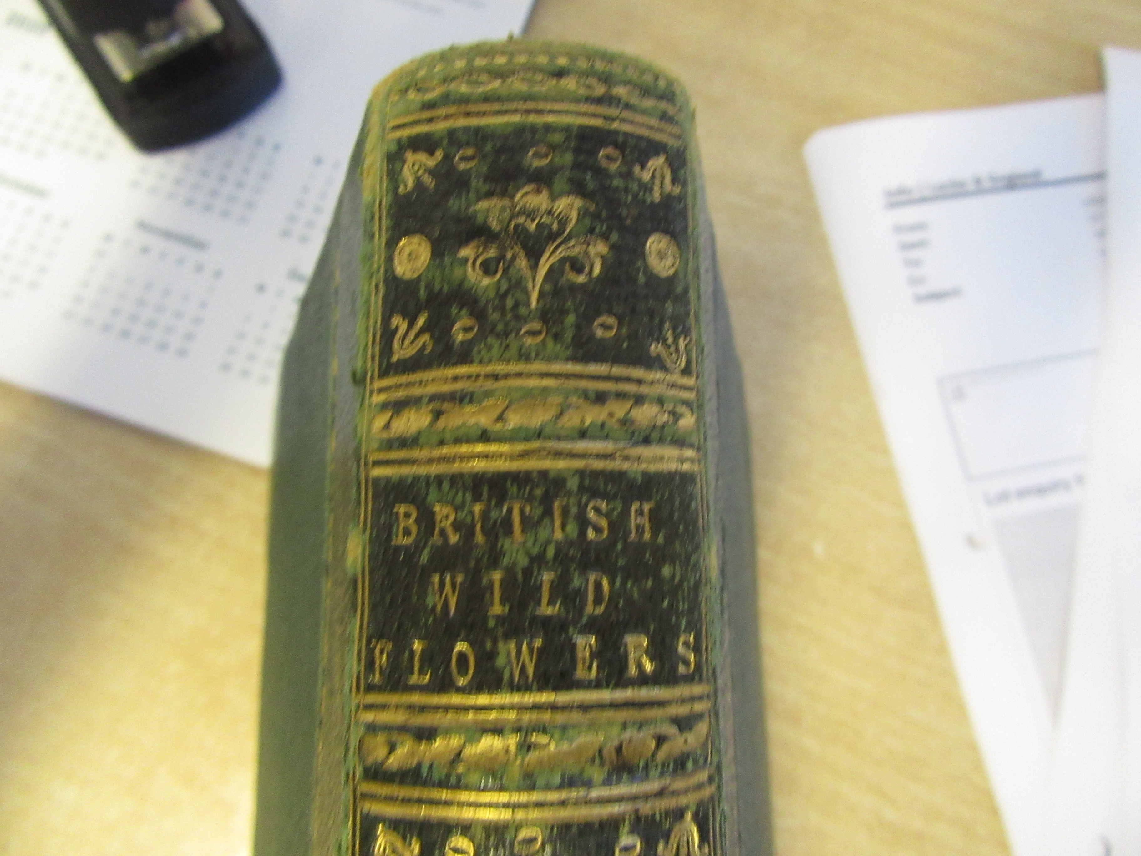 A hand written book 'British Wild Flower - Image 13 of 15