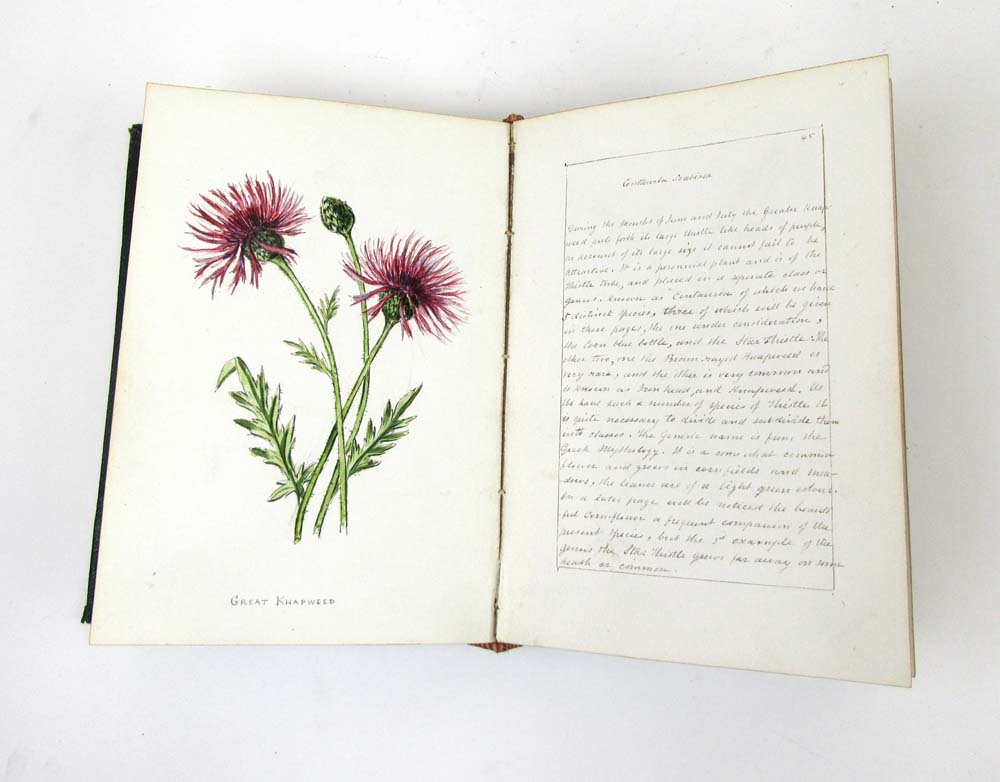 A hand written book 'British Wild Flower - Image 7 of 15