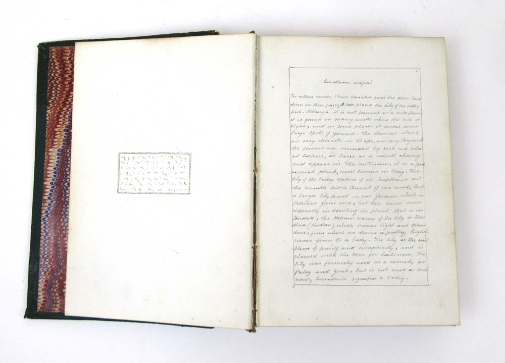 A hand written book 'British Wild Flower - Image 4 of 15