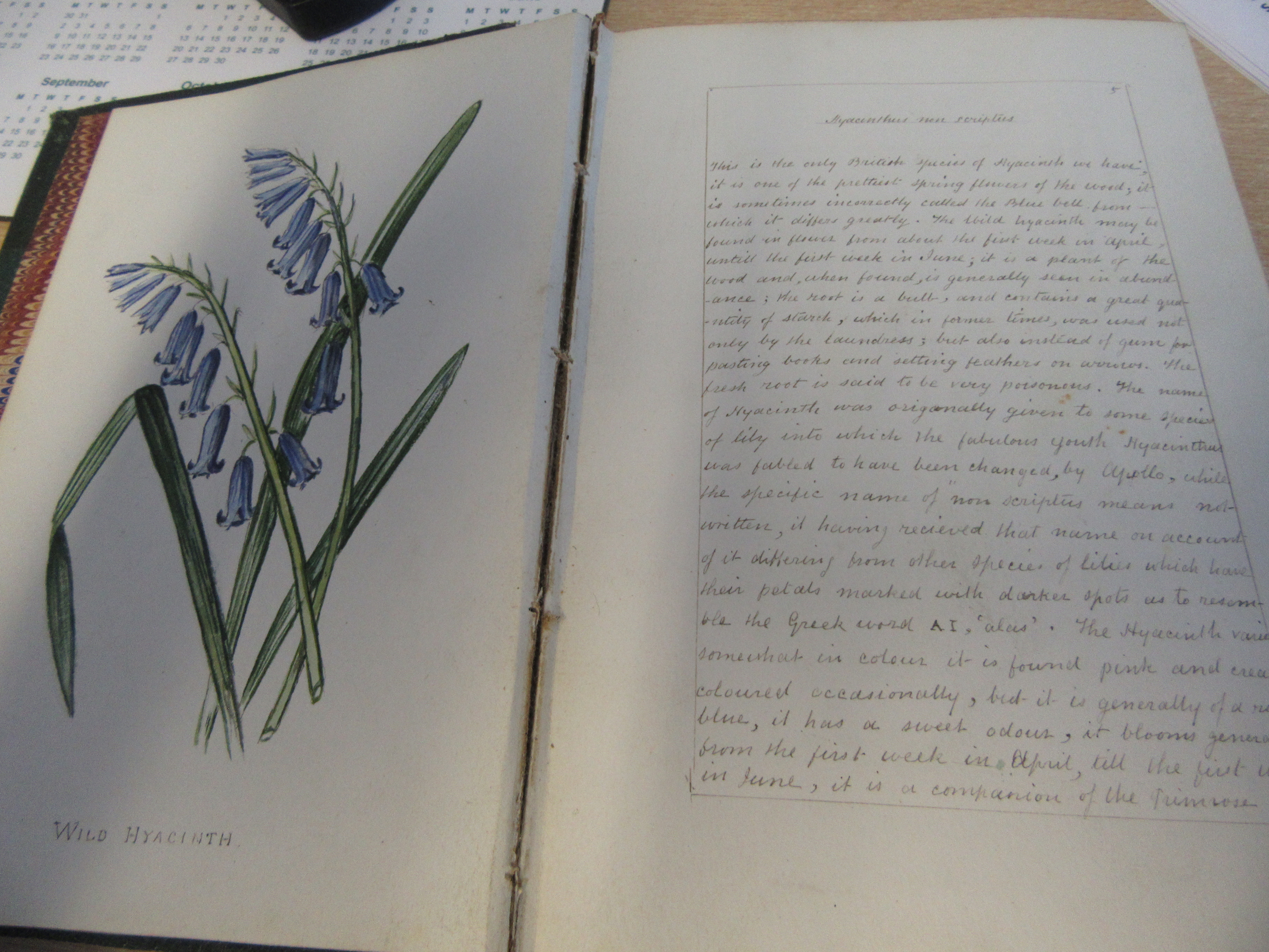 A hand written book 'British Wild Flower - Image 9 of 15