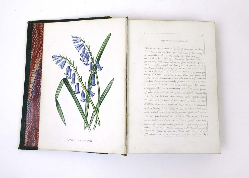 A hand written book 'British Wild Flower - Image 5 of 15