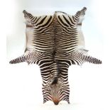 Taxidermy - a zebra pelt with mane and t