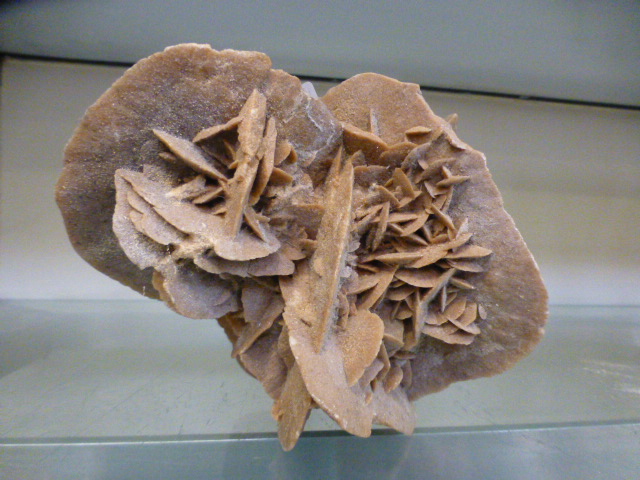 A large selenite gypsum 'Desert Rose', a