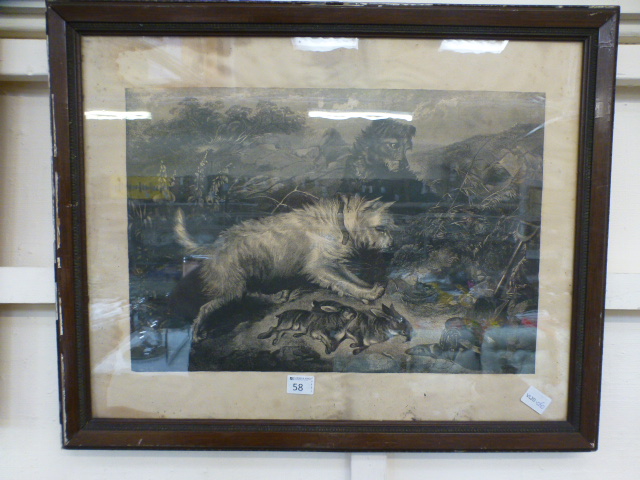 A framed and glazed print of dog with ra