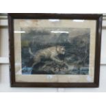 A framed and glazed print of dog with ra