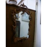 An ornate gilt framed wall mirror