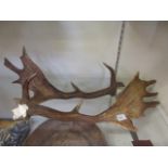 A pair of antlers