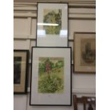 Two framed limited edition prints signed