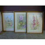 Three framed and glazed watercolours of