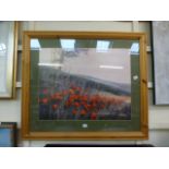 A framed and glazed print of a poppy fie