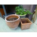 Three garden plant pots