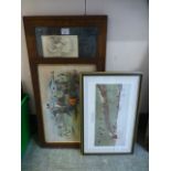 Four framed and glazed prints on horse a