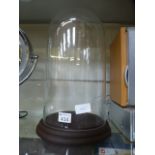 A large glass display dome