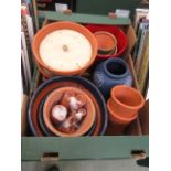 A tray of ceramic and other garden plant