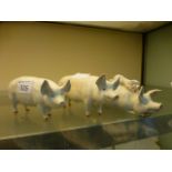 Three Beswick models of pigs and piglets