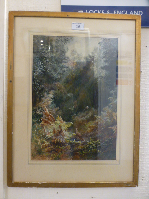 A framed and glazed watercolour of fox i