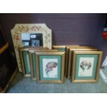 A set of seven gilt framed and glazed pr