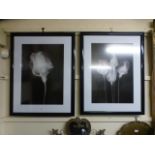 A pair of framed and glazed monochrome a