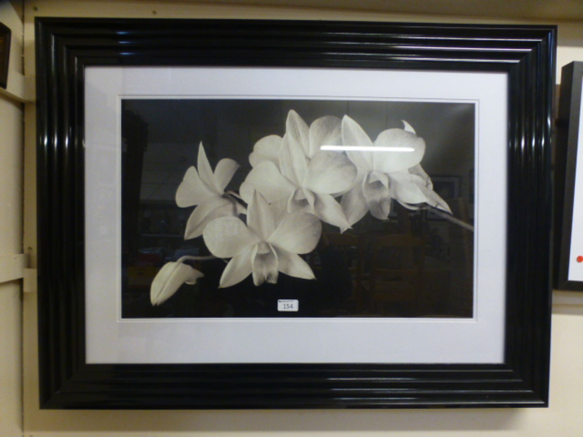 A framed and glazed photographic print o