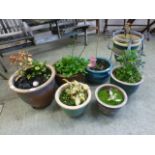 A selection of glazed garden plant pots,