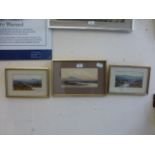 Three framed and glazed watercolours of