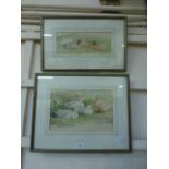 Two framed and glazed watercolours of du
