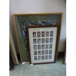A framed and glazed cigarette card colle
