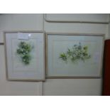 A pair of framed and glazed watercolours