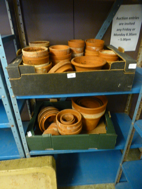 Two trays of terracotta pots