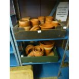 Two trays of terracotta pots