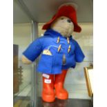 A Paddington Bear