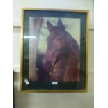 A framed and glazed photo of a horse