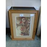 A selection of framed and glazed prints