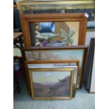 A quantity of framed and unframed oils,