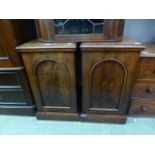 A pair of 19th century pot cupboards (A/