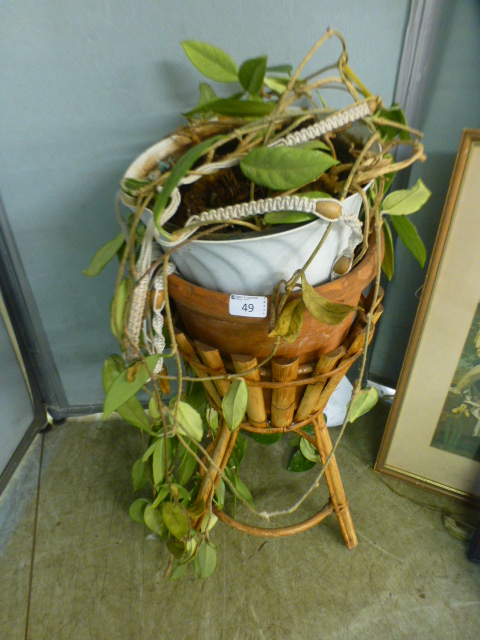 A bamboo and wicker stand containing a terracotta plant pot and a plant CONDITION