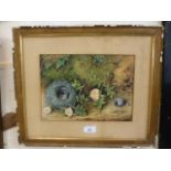 A framed oil on canvas of birds nest signed E.