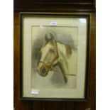 A framed and glazed watercolour of a horses head, initialed J.R.