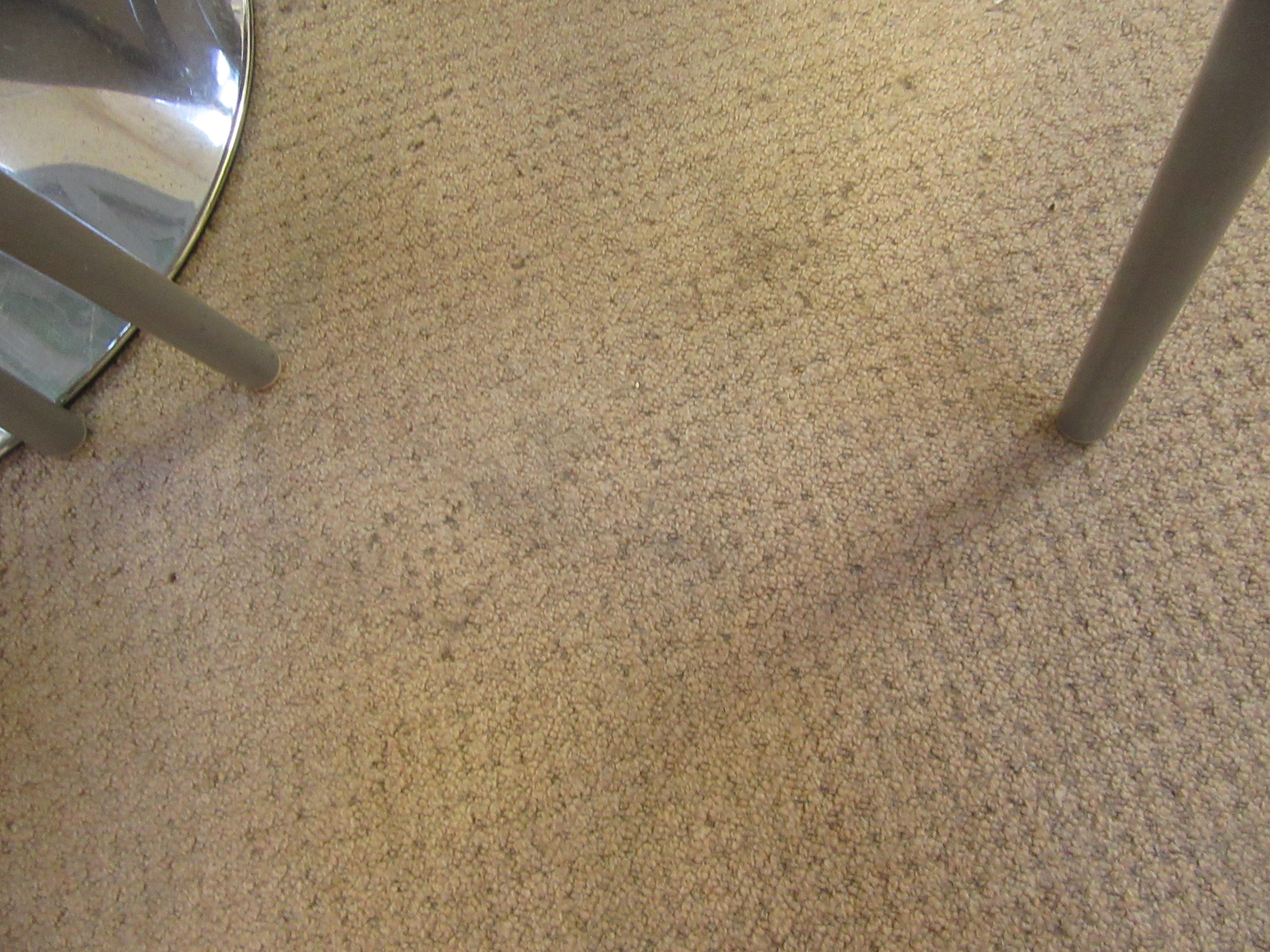 A large rectangular beige rug CONDITION REPORT: 352 cm x 300 cm Some stains, - Image 3 of 4