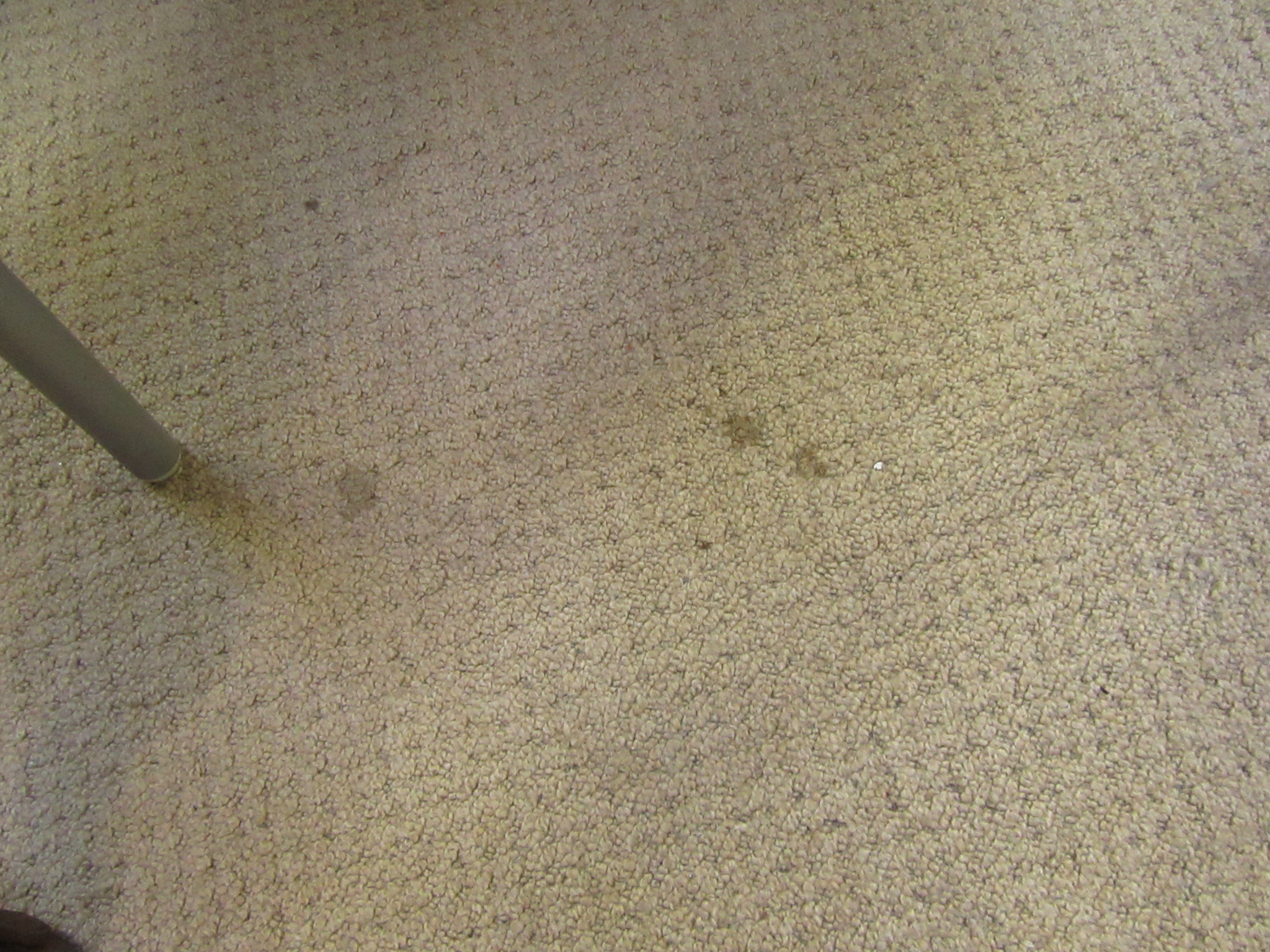 A large rectangular beige rug CONDITION REPORT: 352 cm x 300 cm Some stains, - Image 2 of 4