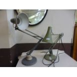 Two angle poise style lamps