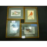 Four framed and glazed Cashes silks of birds