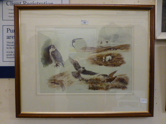 A framed and glazed print of birds of prey etc.