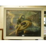 A framed and glazed print ' The Dying Swan' by Tretchikoff