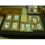 A selection of twelve framed and glazed Cashes silks of birds