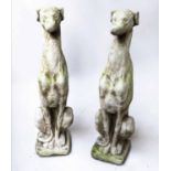 GREYHOUNDS, a pair, reconstituted stone, 74cm H.
