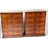 COLLECTORS CHESTS, a pair,